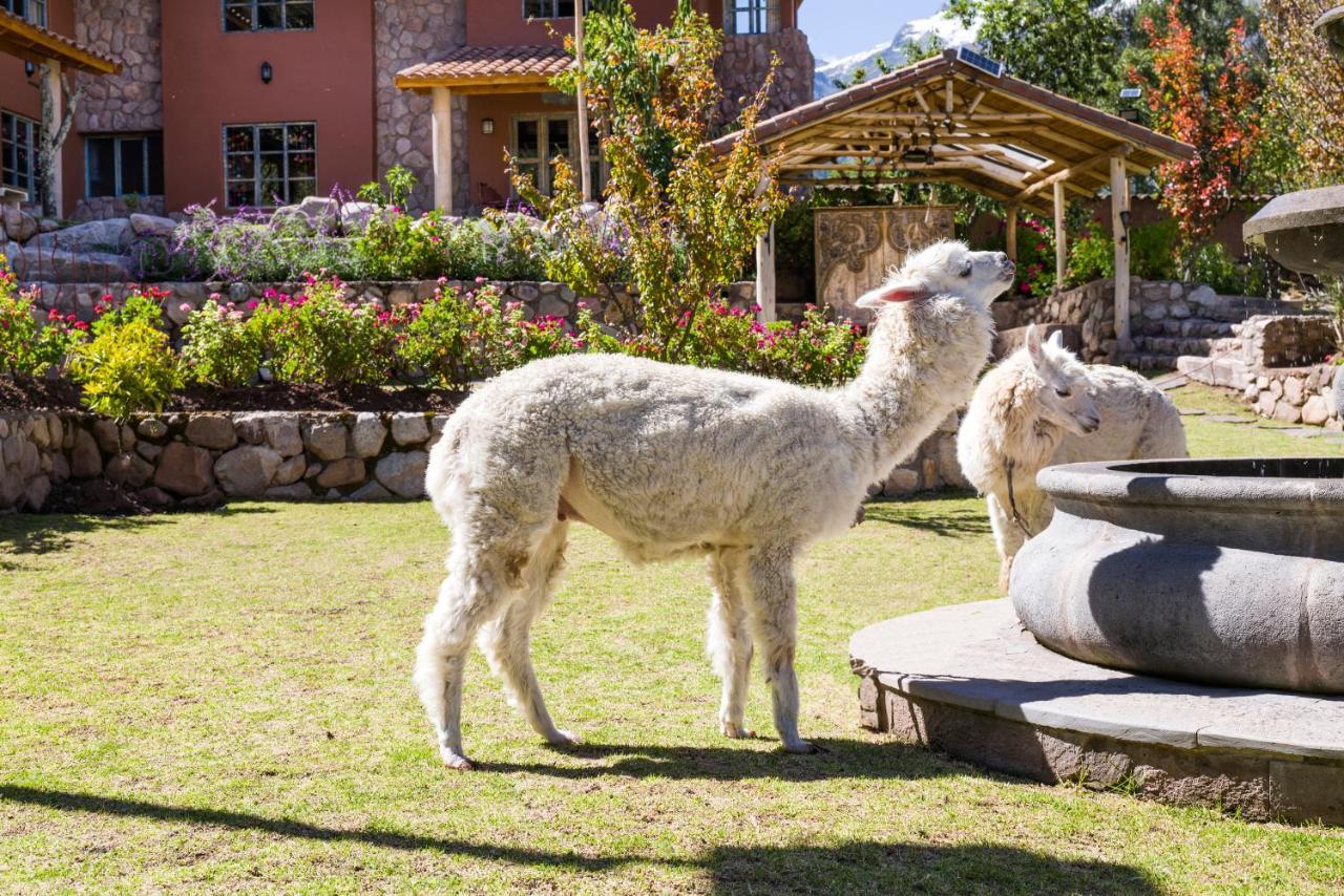 Villa Apu Chicon Urubamba Zewnętrze zdjęcie