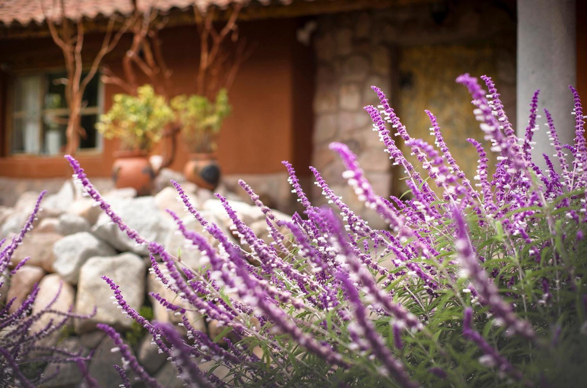 Villa Apu Chicon Urubamba Zewnętrze zdjęcie