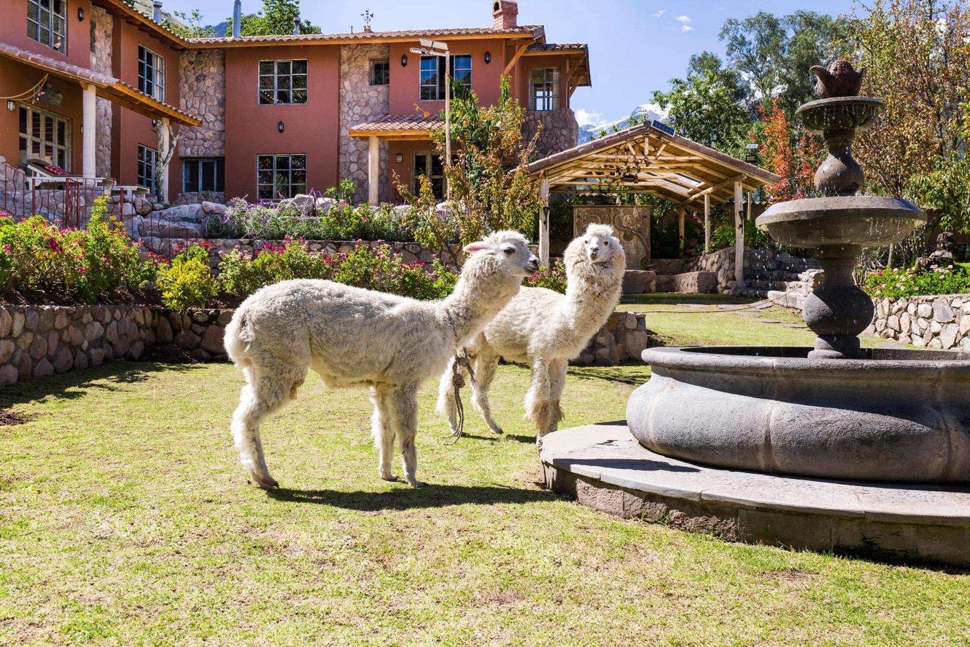 Villa Apu Chicon Urubamba Zewnętrze zdjęcie